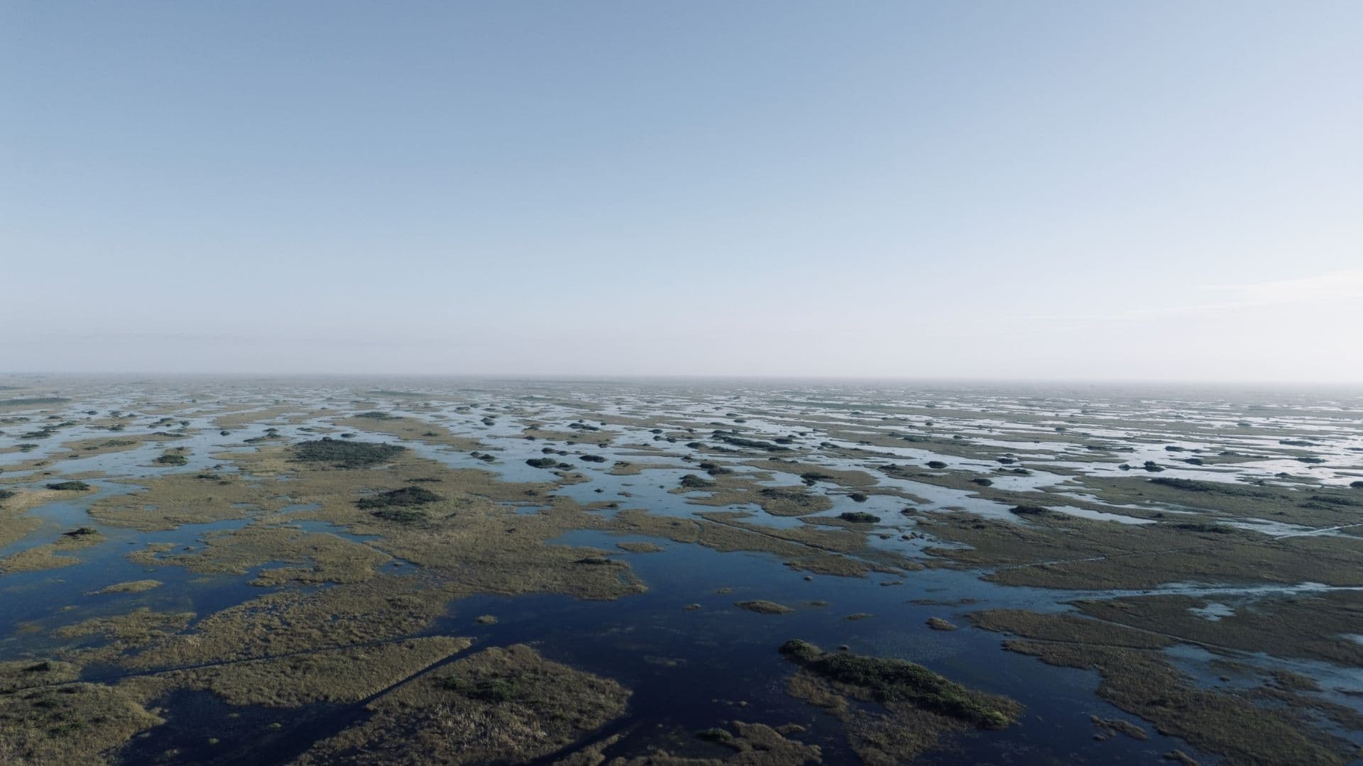 Aerial view of a vast wetland landscape