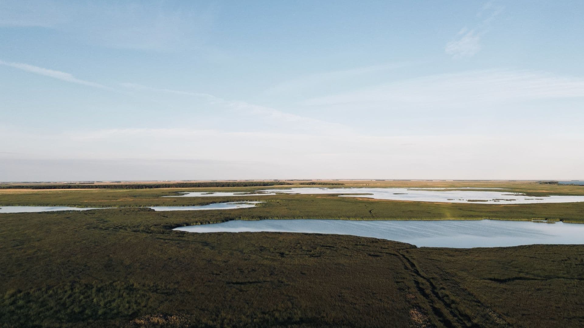 Drone and IoT sensor network over a wetland — Life on Marsh monitoring technology